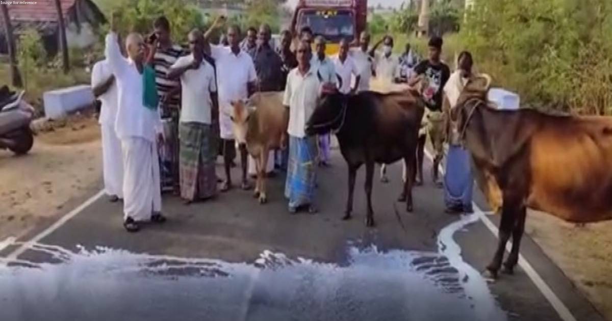 Erode: Dairy farmers throw milk on road demanding increase in procurement prices